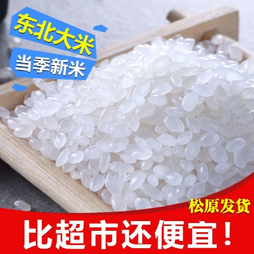 东北大米 米 正宗东北超级稻大米20斤批发 农家自产