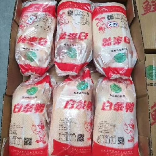 徐州白条鸭，鸭副产主营大漠云鸭，天山银鸭
