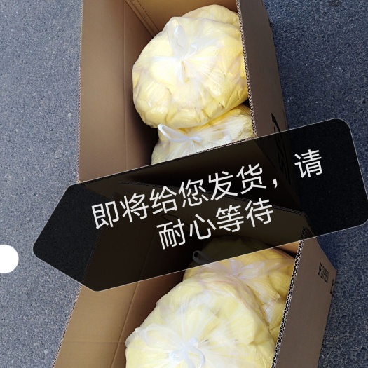 营山县黄精种苗 姜形黄精  黄精除草，死草不死苗，节约大量成本，