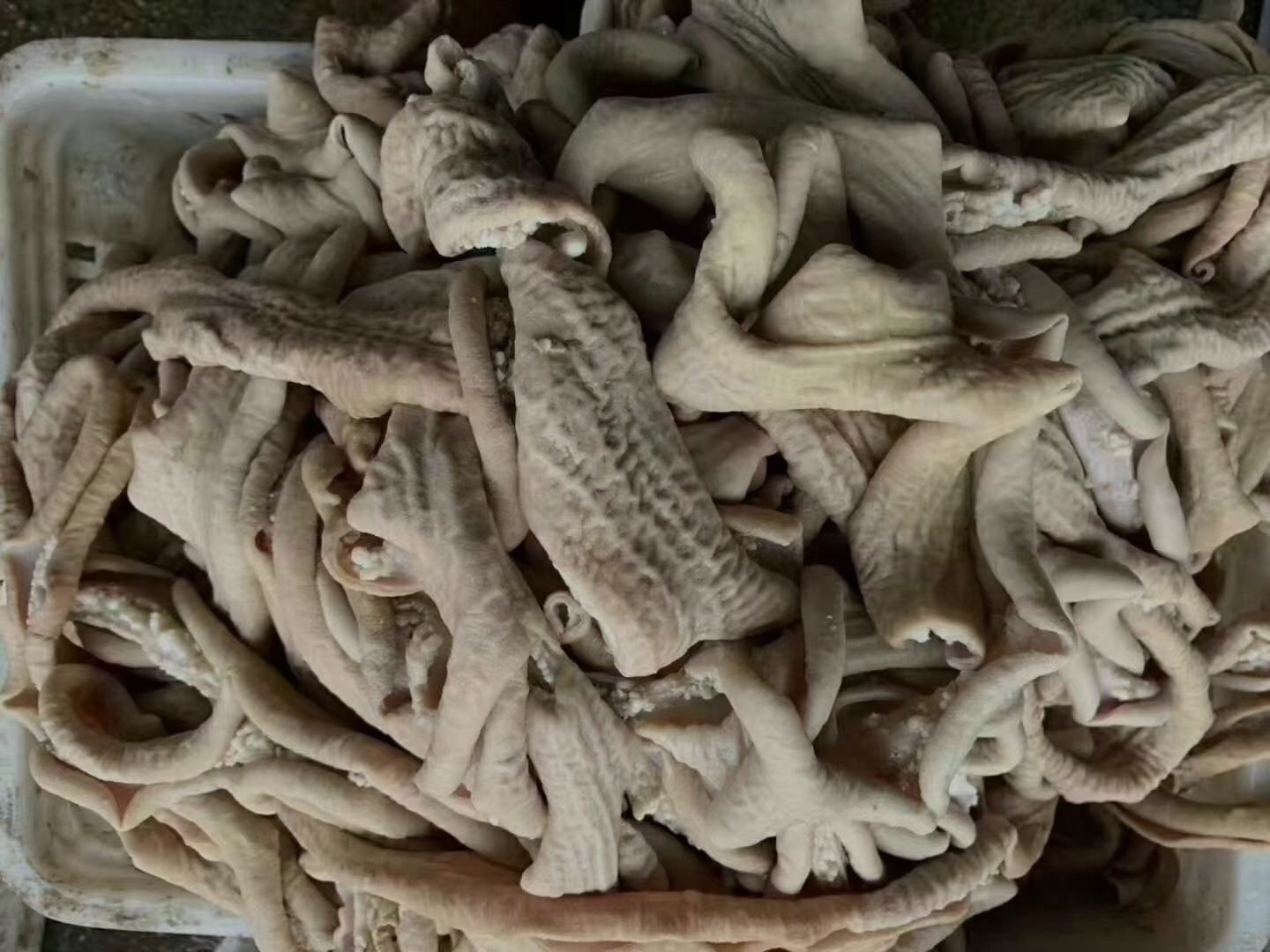 牛肠  半成品牛小肠