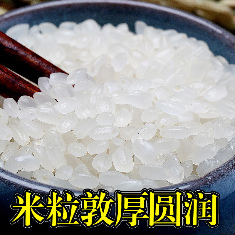 东北大米 米 正宗东北超级稻大米20斤批发 农家自产