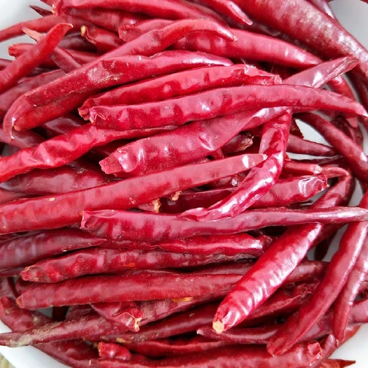 昆明红太阳辣椒   产地直销丘北辣