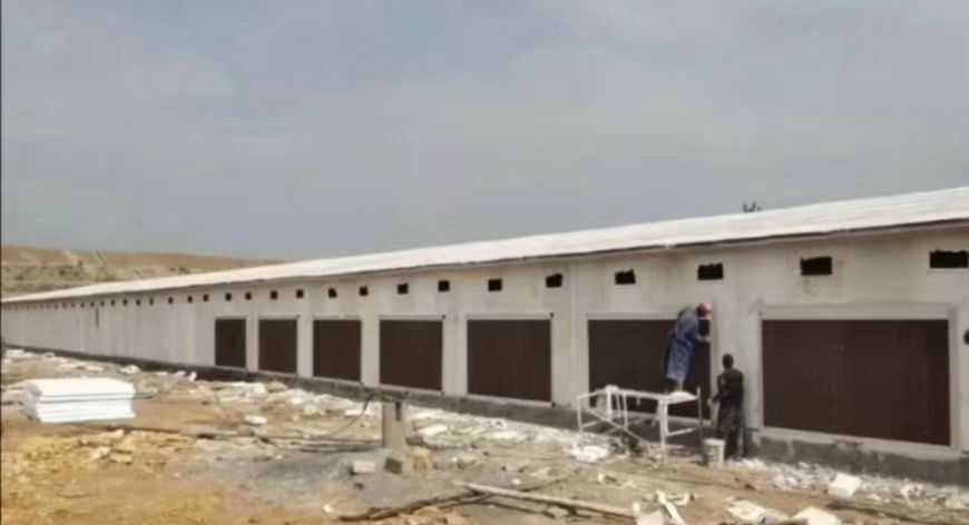 献县全国建舍；猪舍鸭舍鸡舍，蔬菜大棚：欢迎您的来电