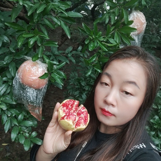 西安 临潼石榴