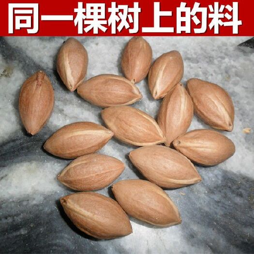 平南县文玩 雕刻榄核出售