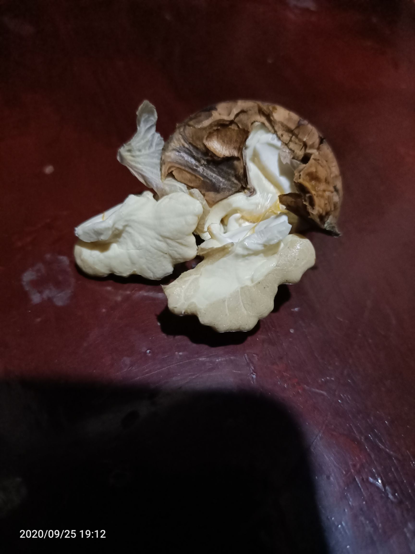 薄皮核桃  云贵新鲜薄壳核桃