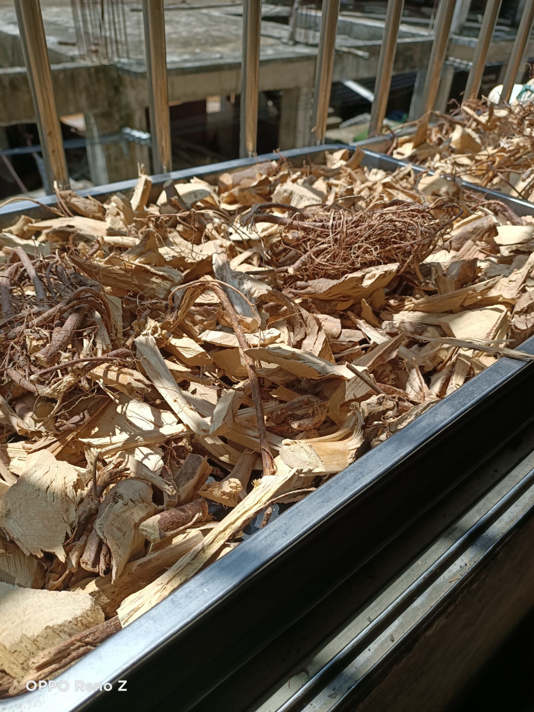 五指毛桃，干货现釆现发，要货老板可连系