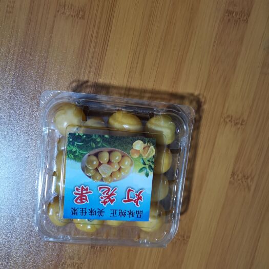 营口黄菇娘 黑龙江绥化海伦硒都菇娘果