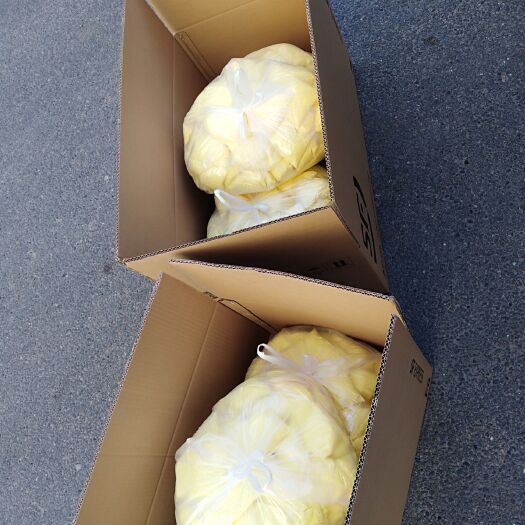 营山县黄精种苗  黄精专用除草剂，不伤苗