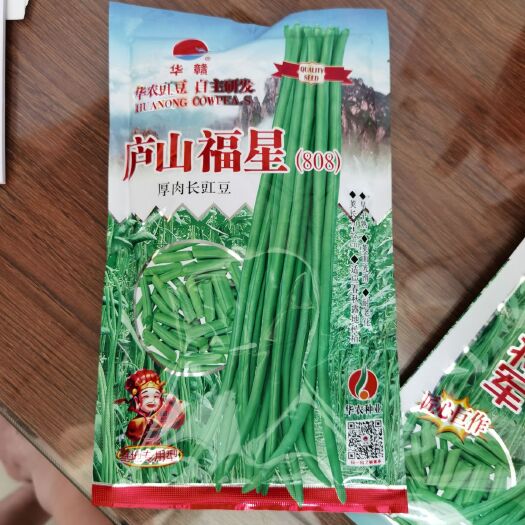 三亚长豇豆 2020年豇豆新王者来了  油青更 抗病 更长  更重