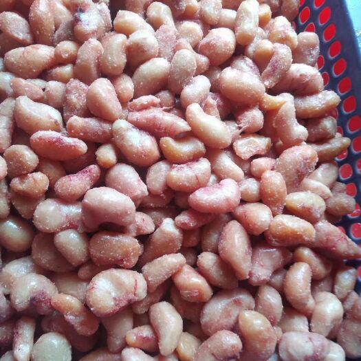 嘉祥县鸡腰子  50-70粒纯白颗粒货