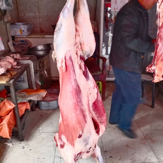 西宁草原绵羊 新鲜牛肉，羊肉，农副产品。