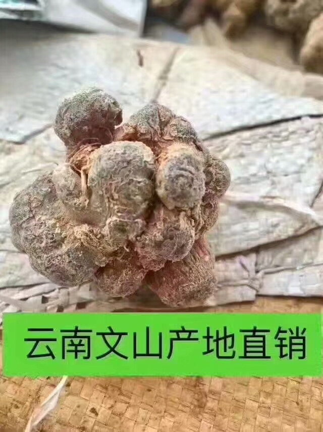 春七