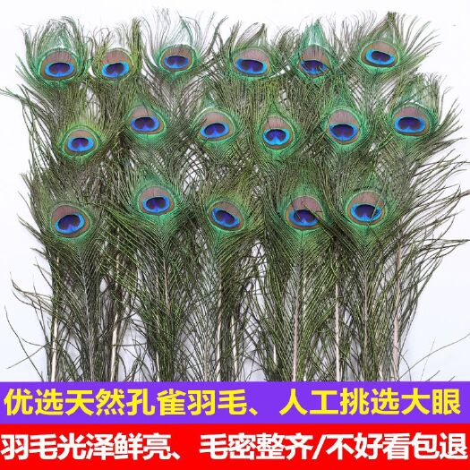 商城县鹅毛 孔雀羽毛驼羽毛鸡毛掸子羊毛掸子批发一件