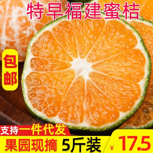 南平福建早熟蜜桔高甜无籽青皮桔子多汁包邮早熟蜜桔当季水果多汁桔子