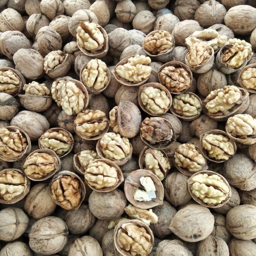 185纸皮核桃个大饱满，皮溥，仁白，口感好，纸皮核桃，