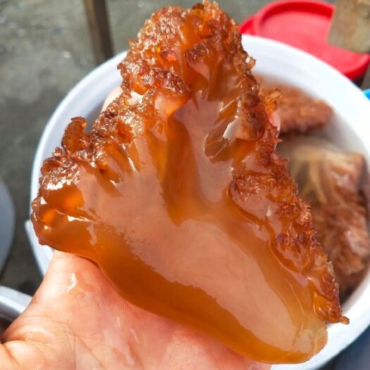滨州海蜇头，大量新货，清脆可口，桶装，一件也是批发价，不包邮