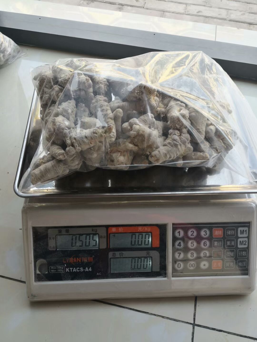 春七