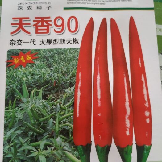 艳红辣椒种子  天香90，泰国种籽抗病性强硬度好椒角顺直