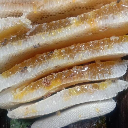 凤县狼牙蜜 2年以上 42 本品不能代替药物 