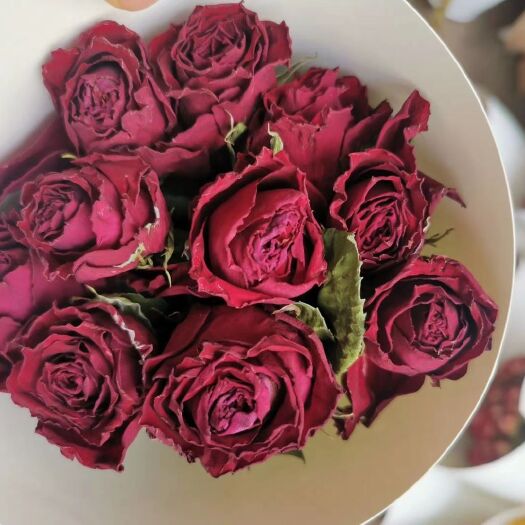 昆明永生玫瑰 干花玫瑰