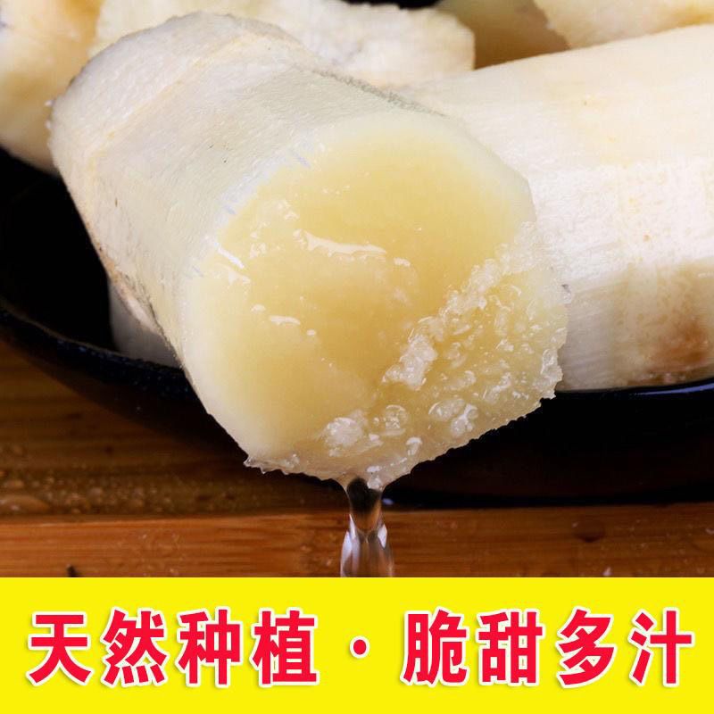 广西特产黑皮紫皮甘蔗果蔗新鲜水果10斤整箱包邮