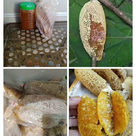 宾川县土蜂蜜  中缅边境小挂蜂