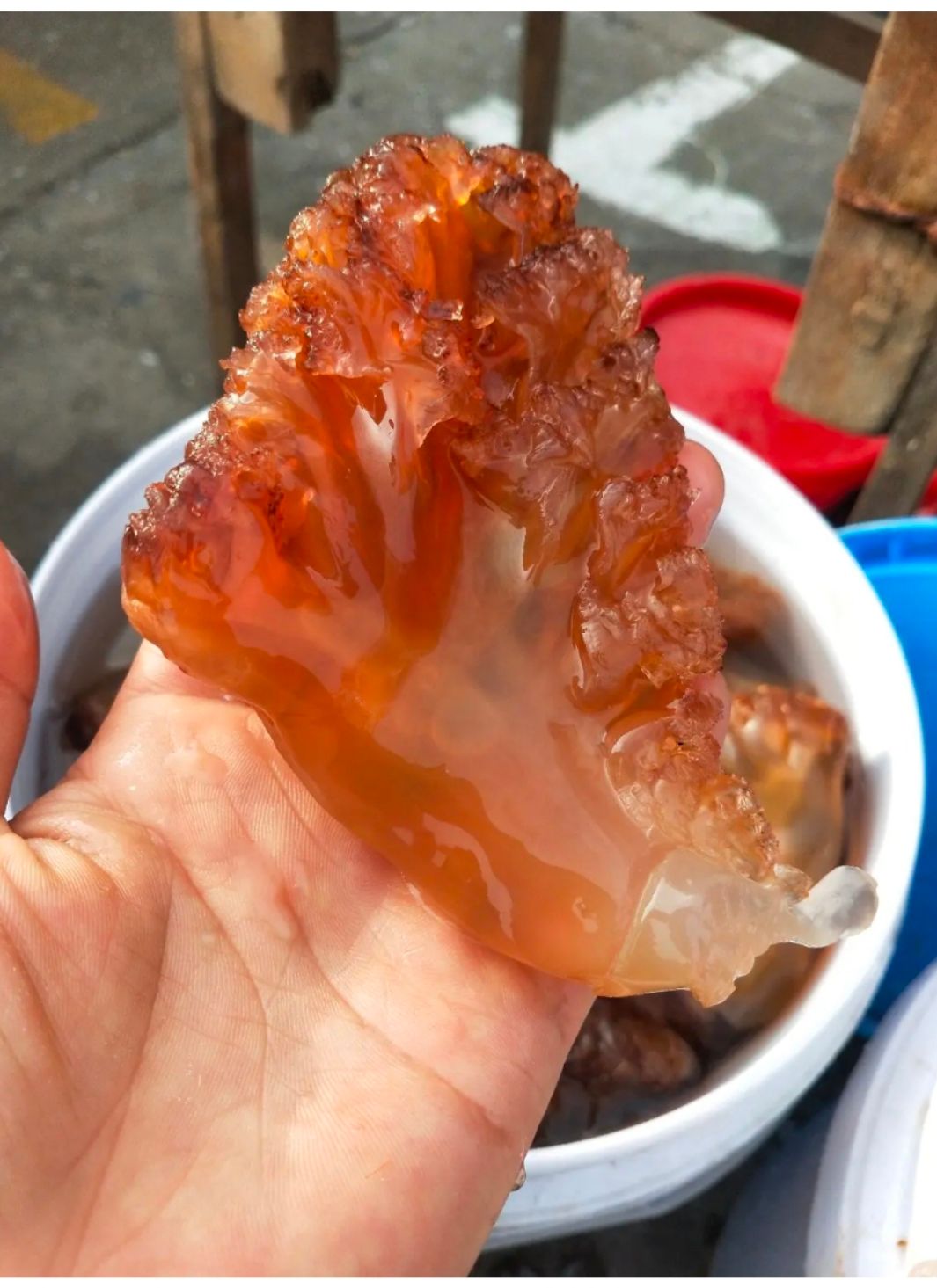 海蜇头，大量新货，清脆可口，桶装，一件也是批发价，不包邮