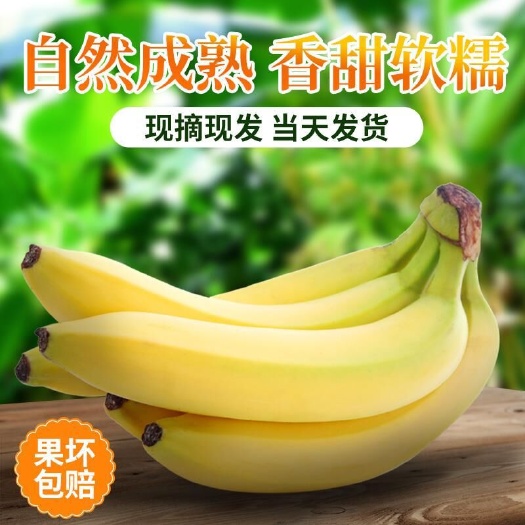 深圳广西蕉  广西山地农家香蕉净重9斤青香蕉装包邮青香蕉需催熟整箱约10斤