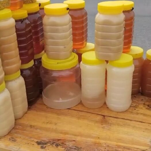腾冲市意蜂蜂蜜 1年 41 本品不能代替药物 