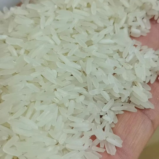 肇庆丰两优大米 一等品 晚稻 籼米 