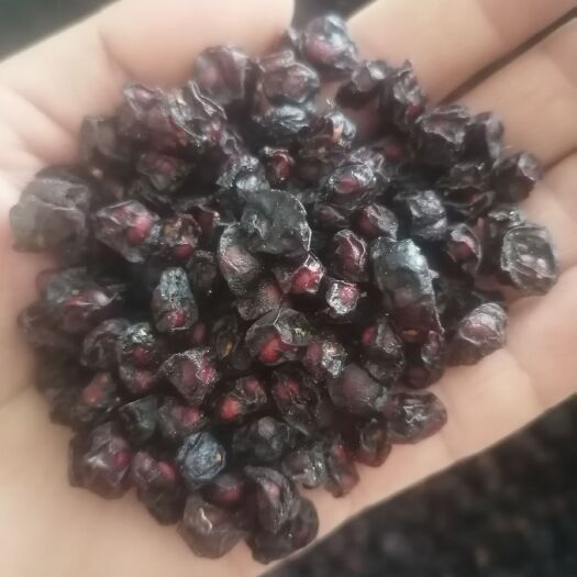 鄄城县北五味子  货干粒大饱满，无硫辽五味，量大从优