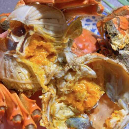 石屏县大闸蟹  新鲜的螃蟹哥🦀蟹黄满满🦀外地顺风车 班车 快递都可以发