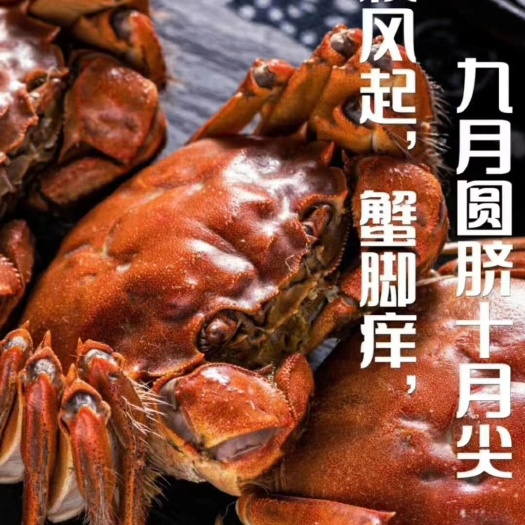 洪湖市洪湖市大闸蟹  湖北省监利县福君水产养殖合作社