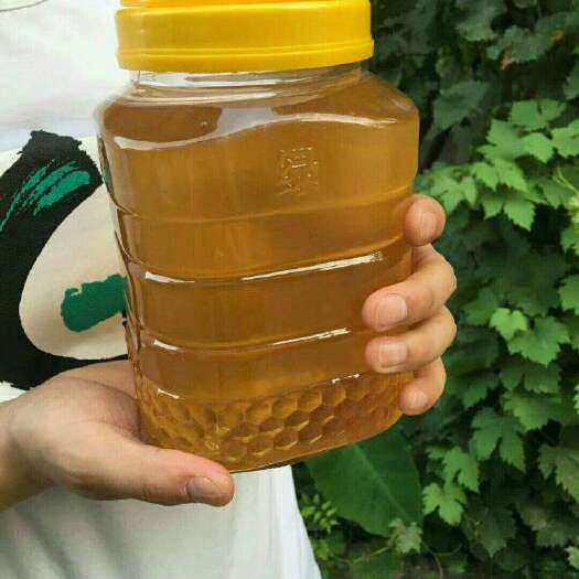 穆棱市东北土蜂蜜椴树蜜杂花蜜500克/瓶农家特产