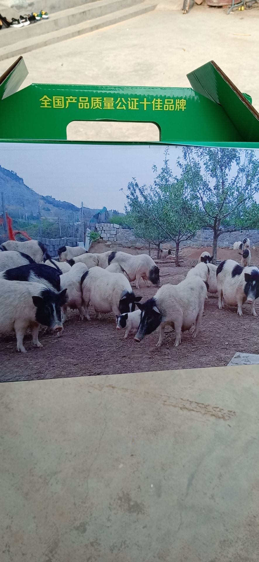 香猪肉 肉质好不好自己看