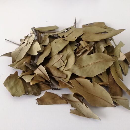 宜宾 老鹰茶量大有优惠（带梗，需煮）火锅店，夜宵店免费茶水！