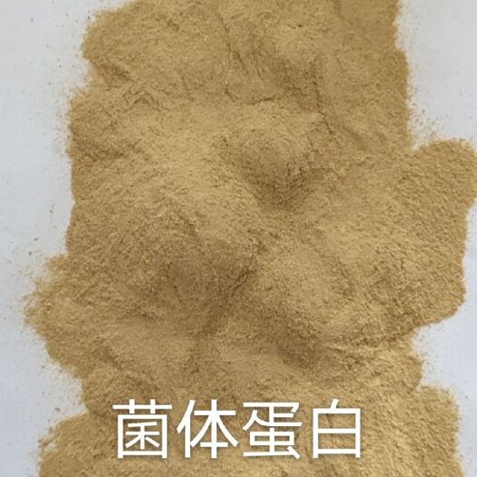 无棣县蛋白质饲料  菌体蛋白