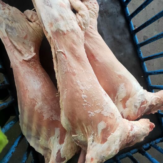 呼伦贝尔呼伦贝尔羔羊肉  白条羊