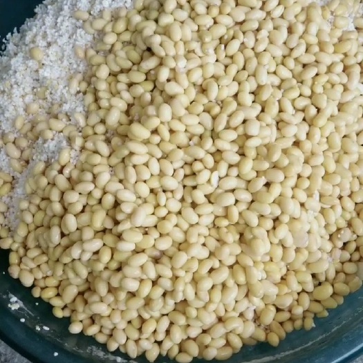 大同杂粮糕  杂粮红豆烤饼