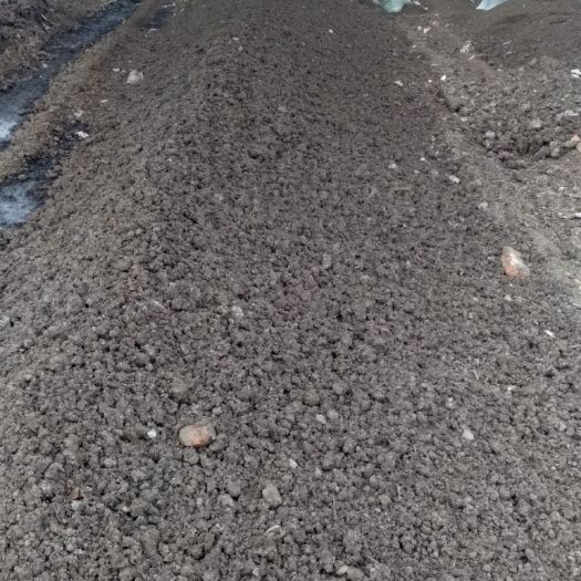 兴化市 发酵腐熟纯鸡粪