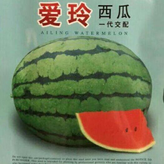 厦门花皮西瓜种子  西瓜  爱玲    肉质细嫩多汁 耐储运