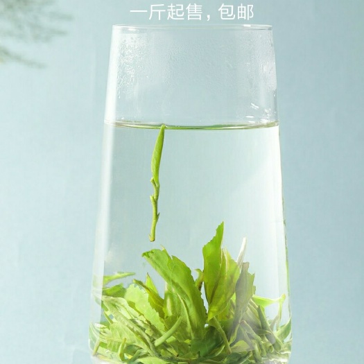 谷城县炒青茶  武当山绿茶，高山茶，不打药无公害