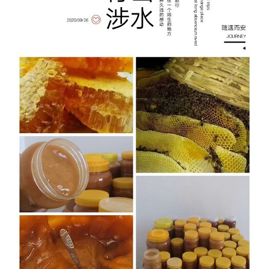 西和县百花蜜  深山正宗百花香，土蜂蜜，每天早上一杯可美颜，排除身体毒素，