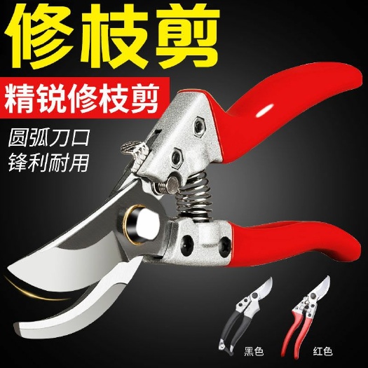 修枝剪刀  剪枝果树园艺园林修花枝剪家用强力剪子花剪剪枝剪刀