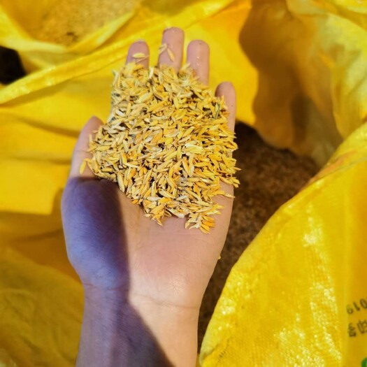 永州压缩稻壳  新鲜谷壳（稻谷壳）/养鸡垫料厂家直接供应