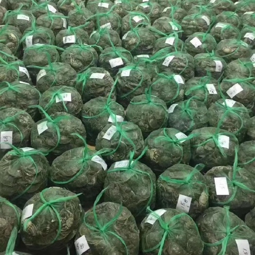 桂林 高品质江苏高淳大闸蟹
