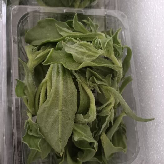 南京冰草 有机 