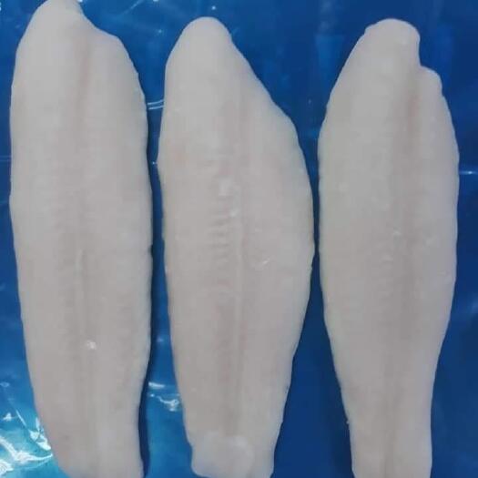 深圳整柜越南巴沙鱼
