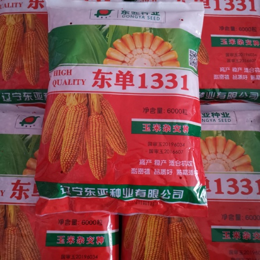 建昌县东单1331玉米种子  东单1331  四国审